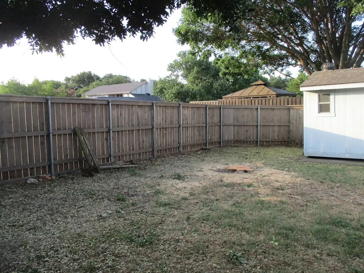 Cleared yard after professional tree removal in Round Top